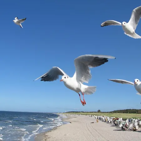 Ferienwohnanlage Jan