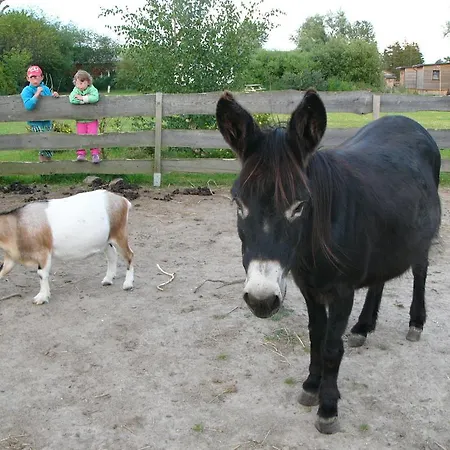 Apartament Ferienwohnanlage Jan Neuendorf (Saal)