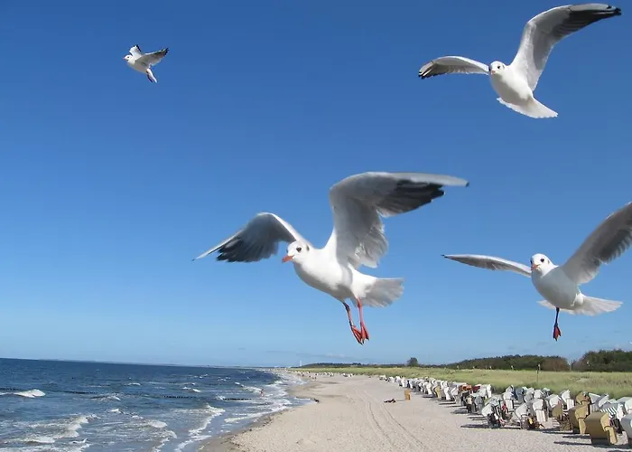 Ferienwohnanlage Jan
