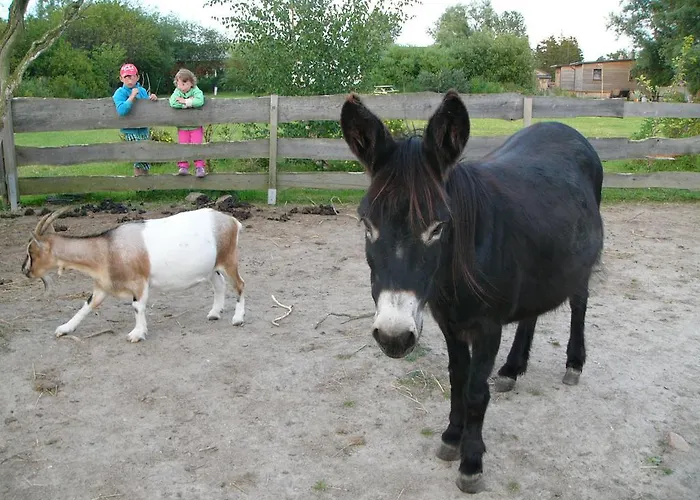 Lägenhet Ferienwohnanlage Jan Neuendorf (Saal)